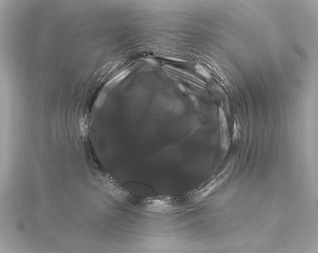 X0000116010285200912031536