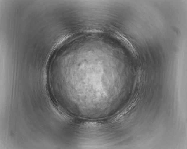 X0000116010298200912031535