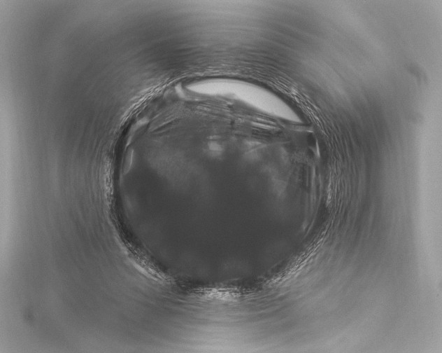 X0000116010303200912031535