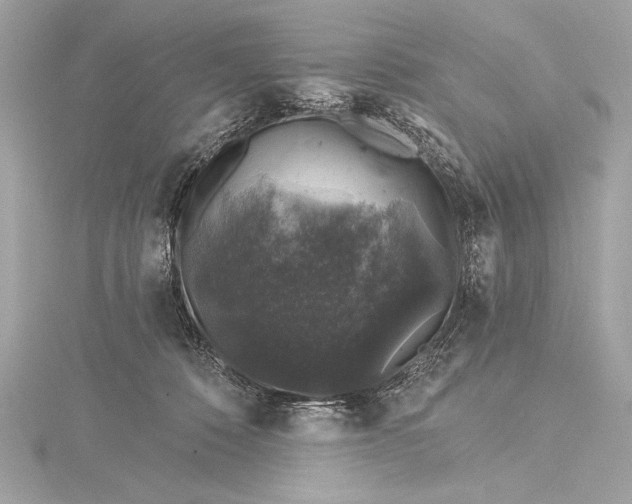 X0000116010320200912031535