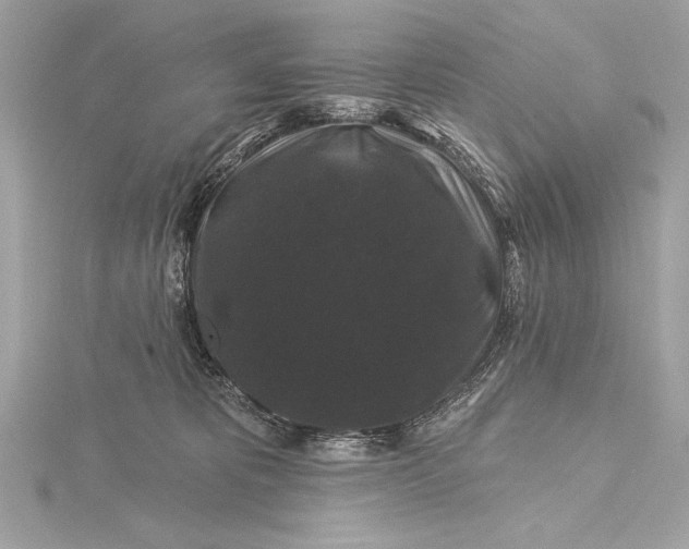 X0000116010325200912031535
