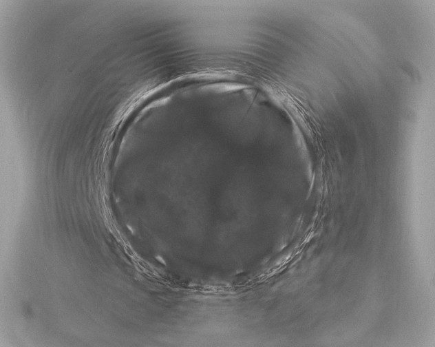 X0000116010337200912031534
