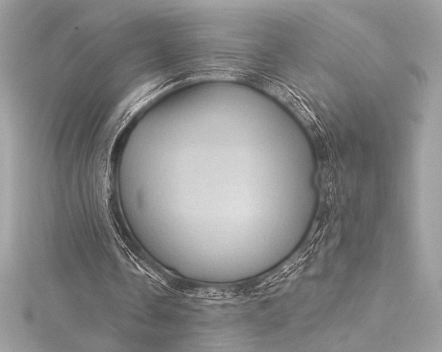 X0000116010338200912031534