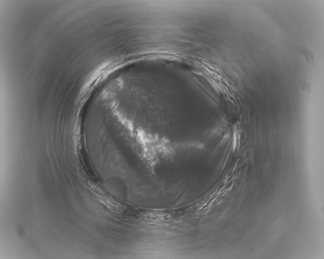 X0000116010339200912031534
