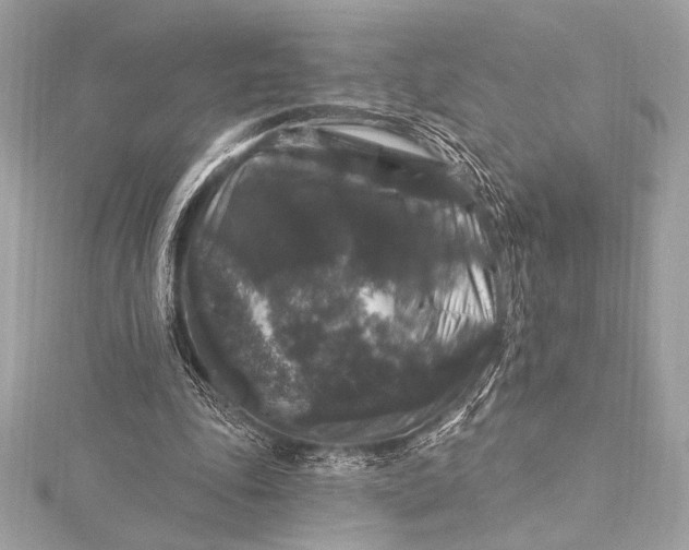 X0000116010343200912031534