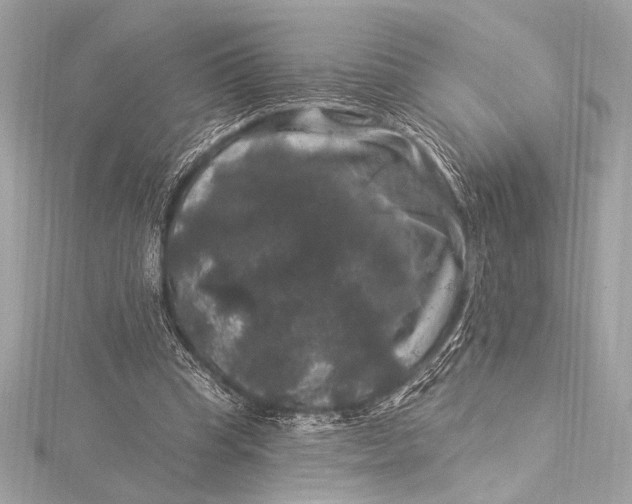 X0000116010345200912031534