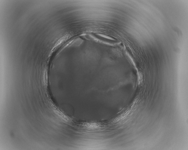 X0000116010349200912031534