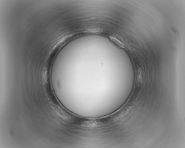 X0000116010351200912031534