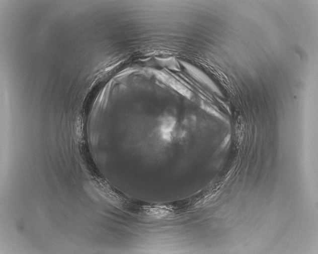 X0000116010359200912031534