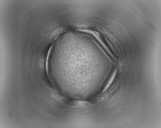 X0000116010379200912031534