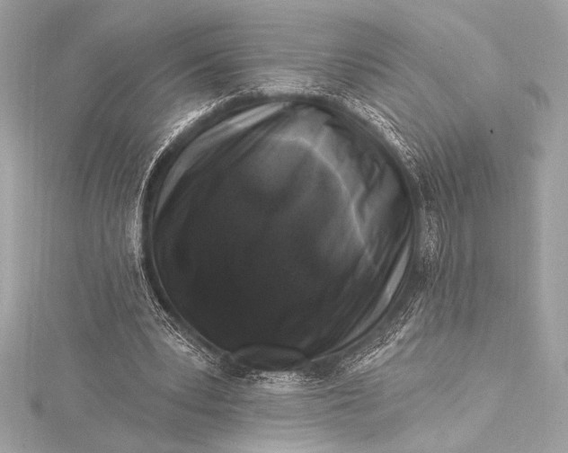 X0000116010391200912031534