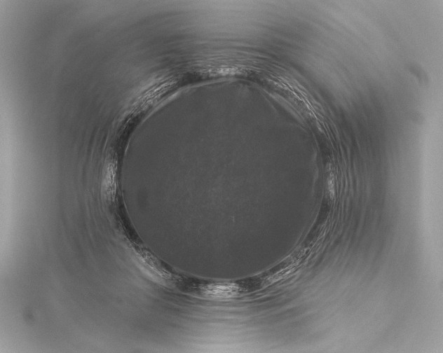 X0000116010410200912031534