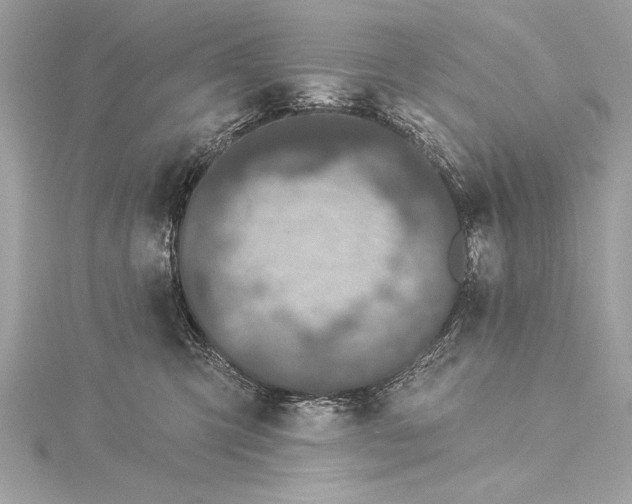 X0000116010423200912031533