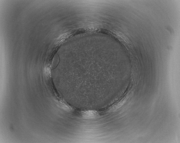 X0000116010432200912031533
