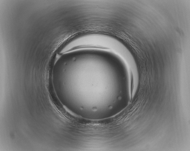 X0000116010448200912031533