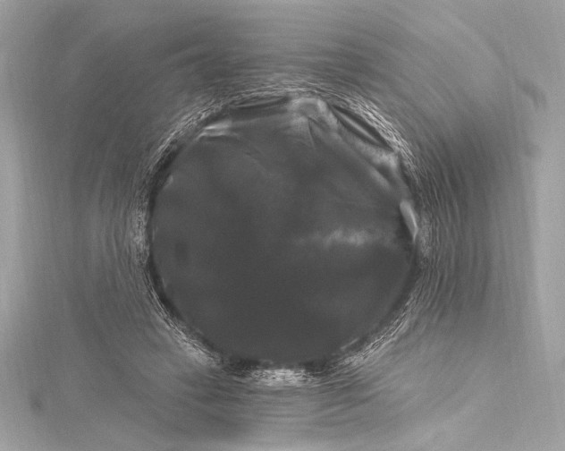 X0000116010449200912031533