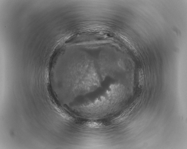 X0000116010453200912031533