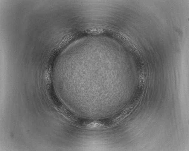X0000116010460200912031533