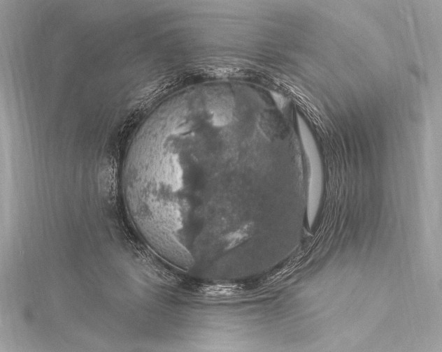 X0000116010461200912031533