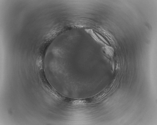 X0000116010465200912031533