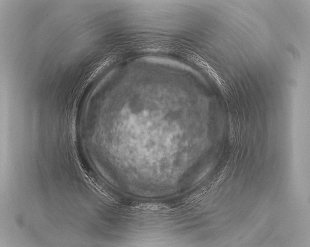 X0000116010482200912031533