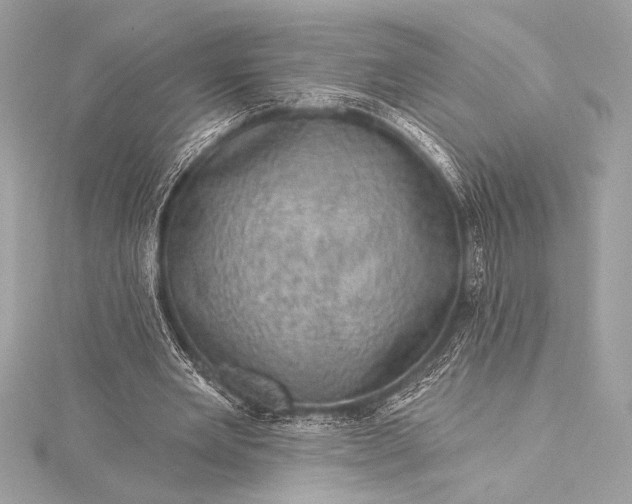 X0000116010485200912031533