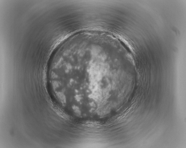 X0000116010487200912031533