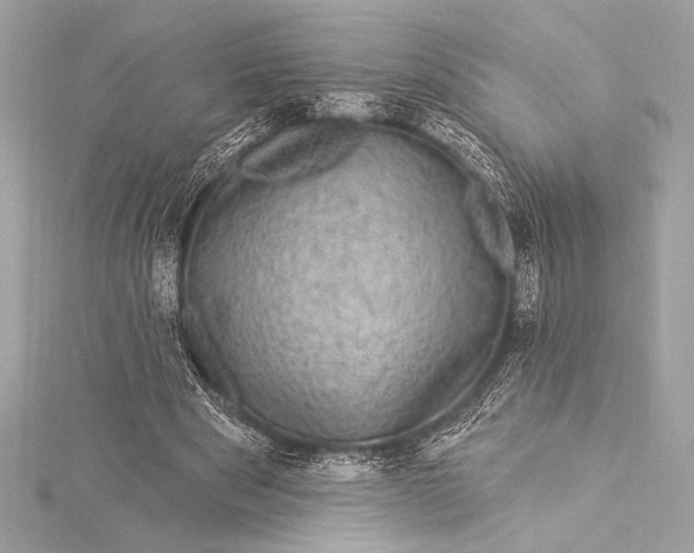 X0000116010489200912031533