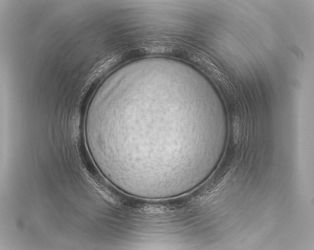X0000116010490200912031533