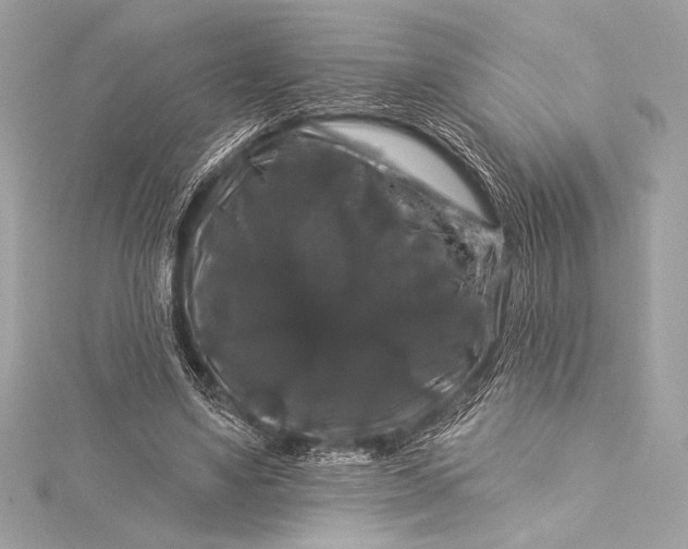 X0000116010491200912031533