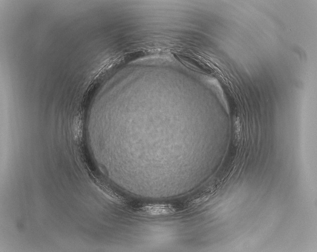 X0000116010499200912031532