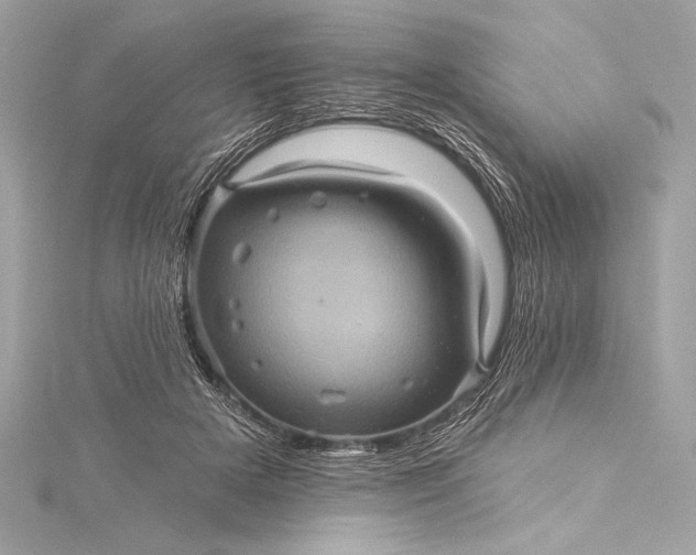 X0000116010505200912031532
