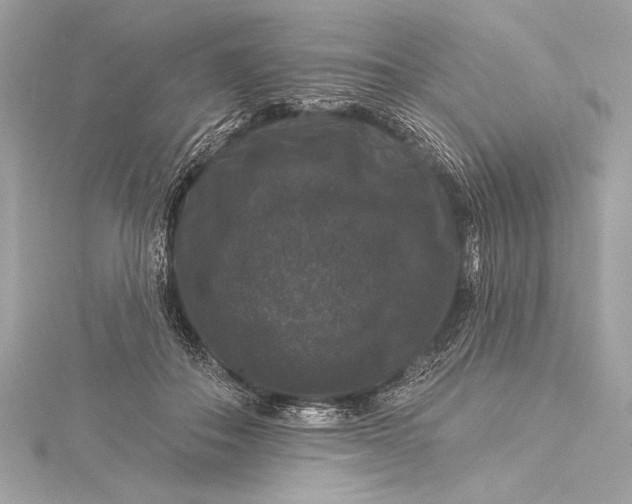 X0000116010506200912031532