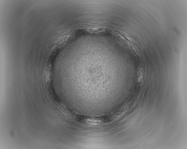 X0000116010515200912031532