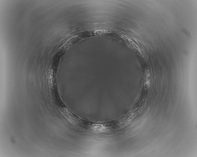 X0000116010519200912031532