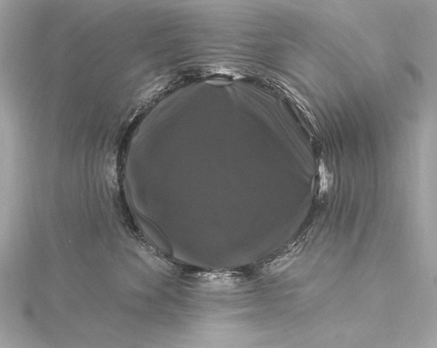 X0000116010524200912031532