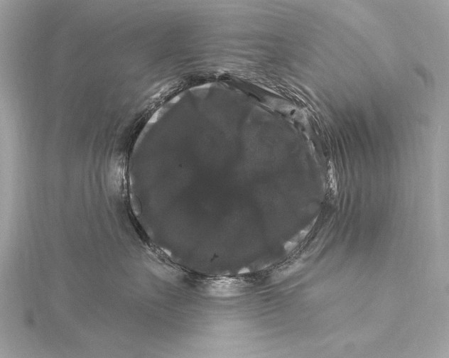 X0000116010527200912031532