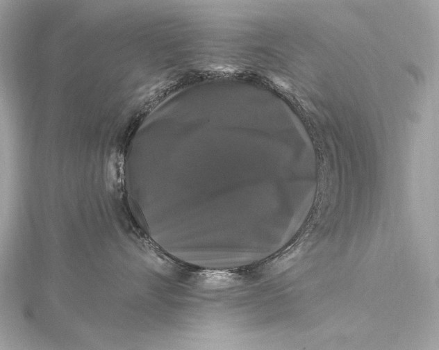 X0000116010528200912031532