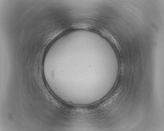X0000116010529200912031531