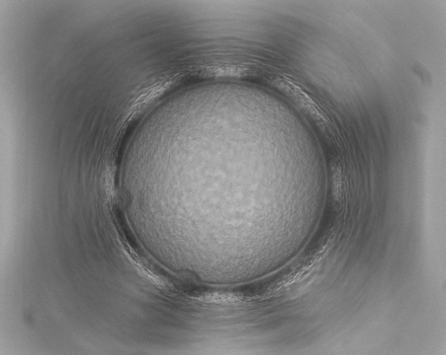 X0000116010537200912031531