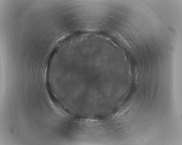 X0000116010542200912031531