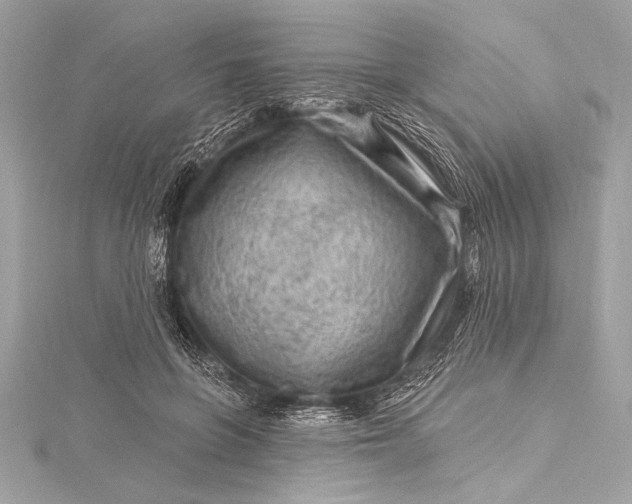 X0000116010551200912031532