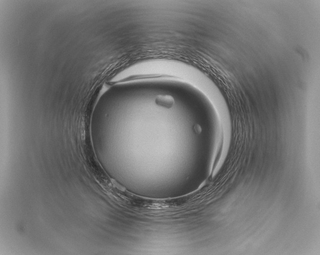 X0000116010562200912031532