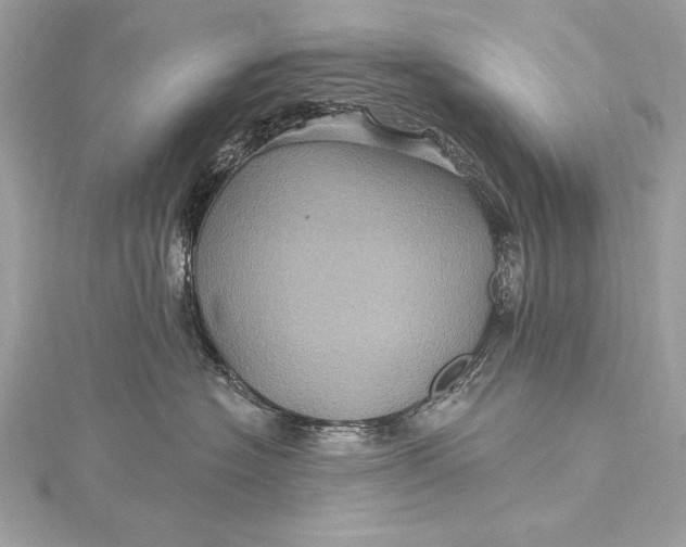 X0000116010574200912031532