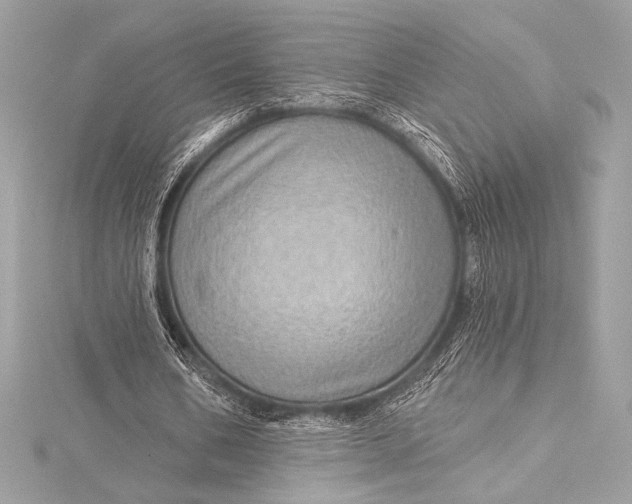 X0000116010578200912031531