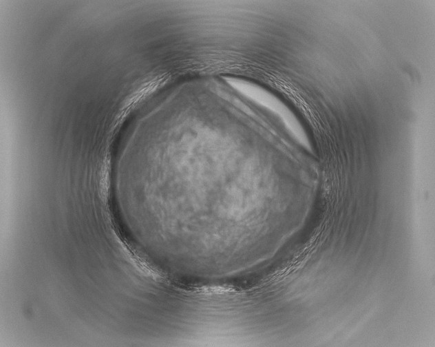 X0000116010586200912031531