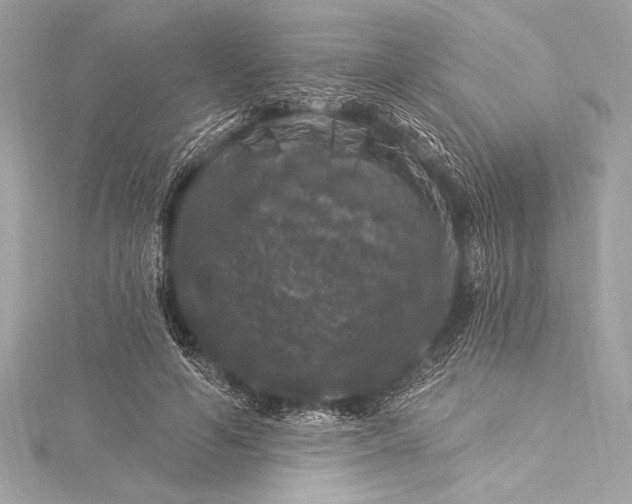 X0000116010594200912031531