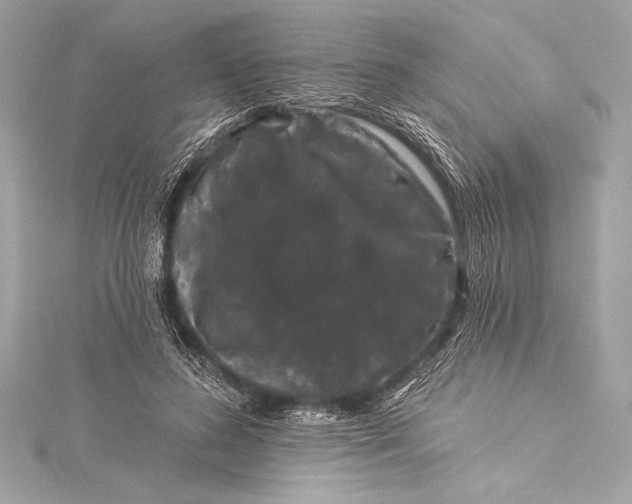 X0000116010596200912031531