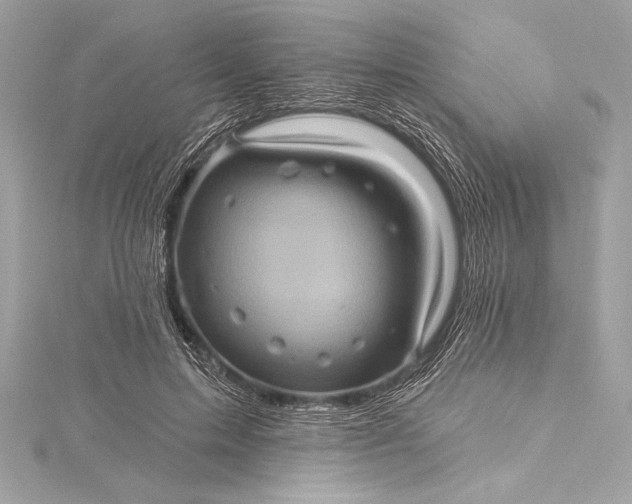 X0000116010599200912031531