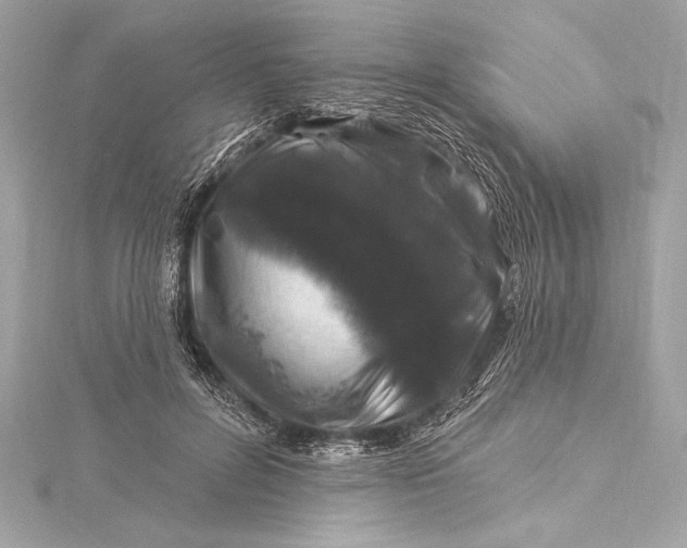 X0000116010600200912031531